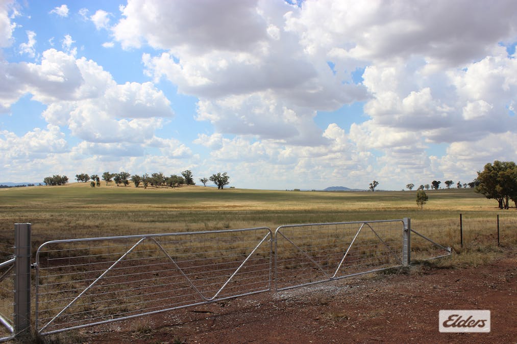 Young, NSW, 2594 - Image 4