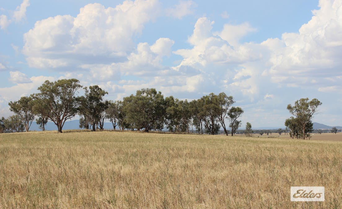 Young, NSW, 2594 - Image 8
