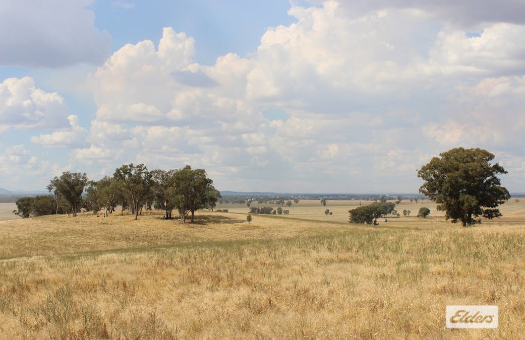 Young, NSW, 2594 - Image 6