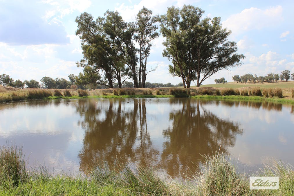 Young, NSW, 2594 - Image 2