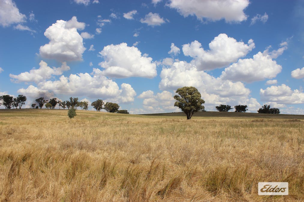 Young, NSW, 2594 - Image 3