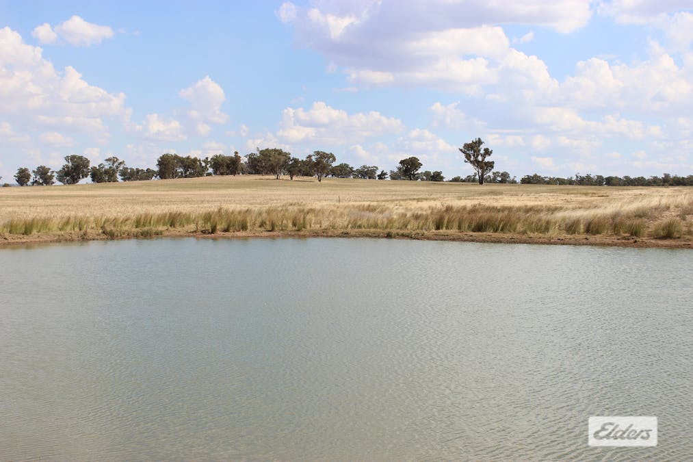 Young, NSW, 2594 - Image 5