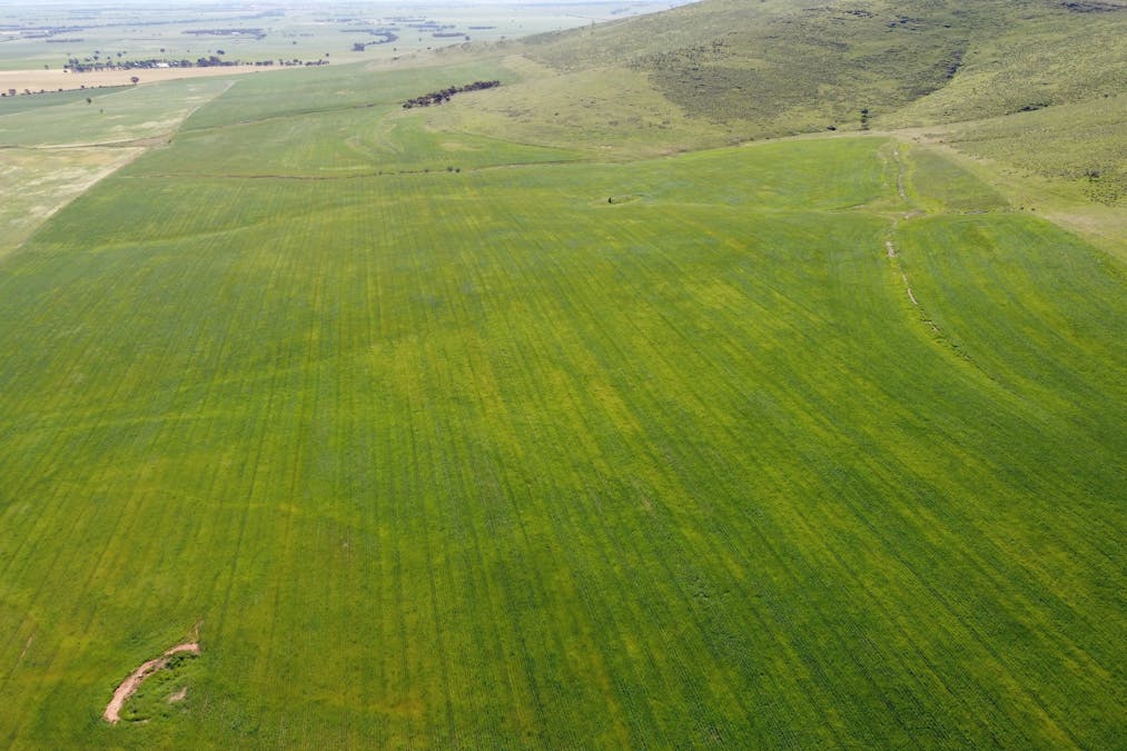 85 McCallum Road, Pekina, SA, 5431 - Image 10