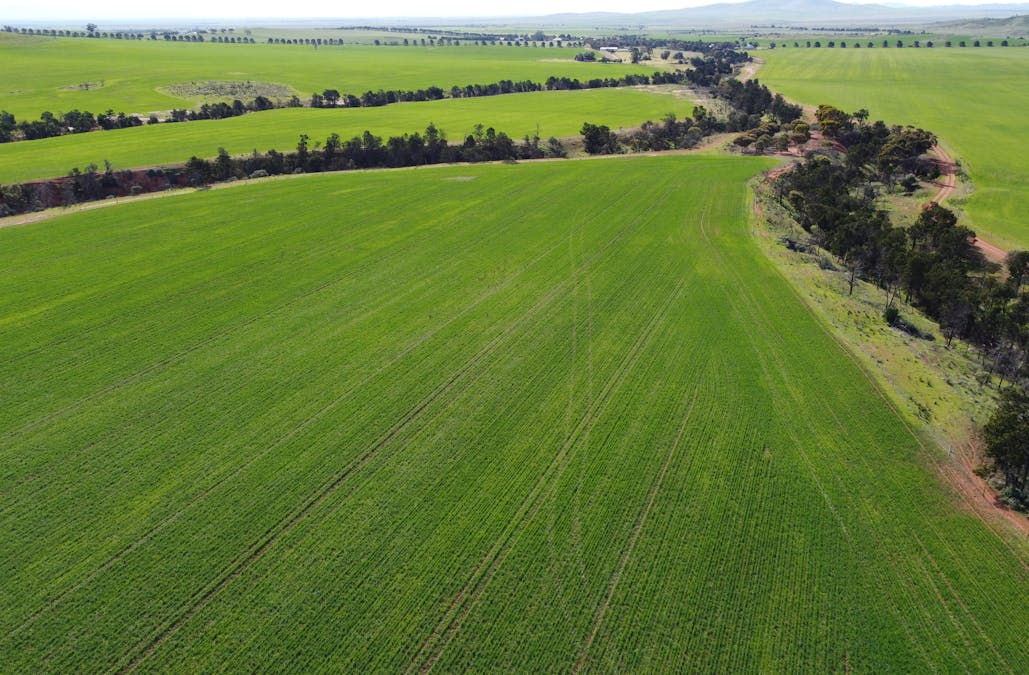 85 McCallum Road, Pekina, SA, 5431 - Image 3