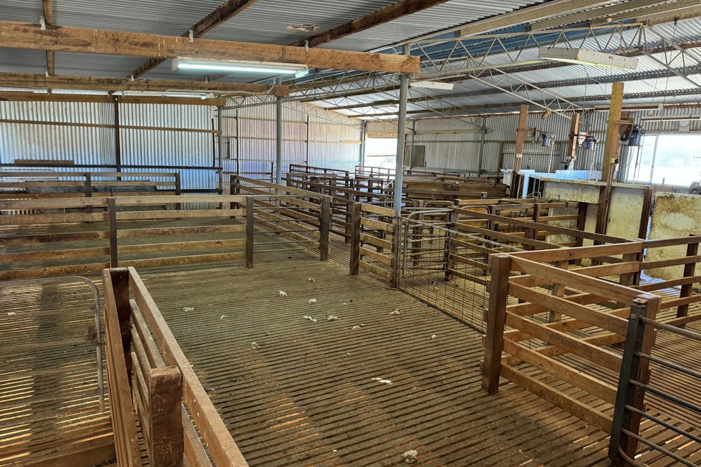 85 McCallum Road, Pekina, SA, 5431 - Image 12