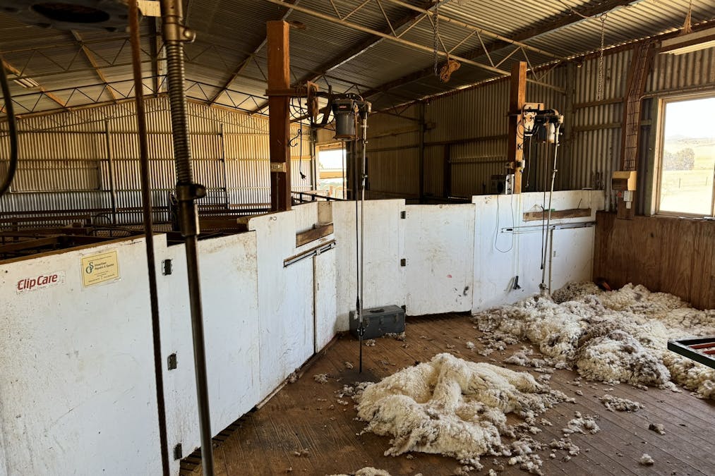 85 McCallum Road, Pekina, SA, 5431 - Image 13