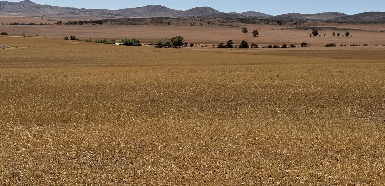 85 McCallum Road, Pekina, SA, 5431 - Image 14