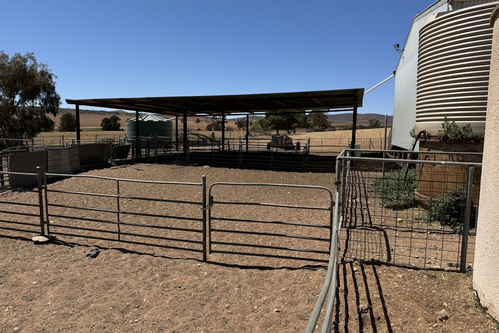 85 McCallum Road, Pekina, SA, 5431 - Image 15
