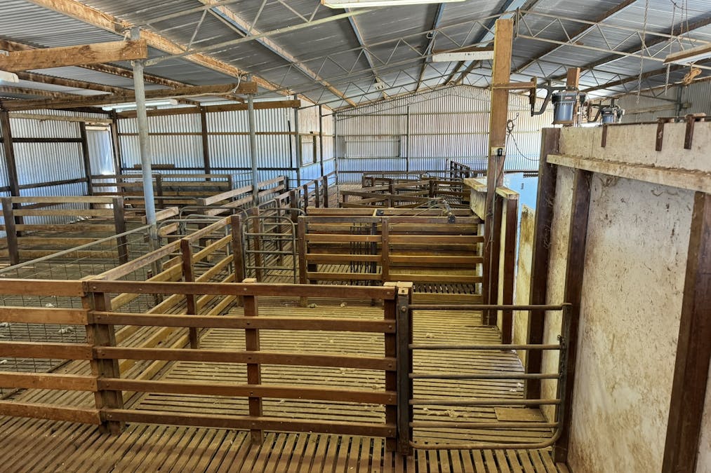 85 McCallum Road, Pekina, SA, 5431 - Image 16