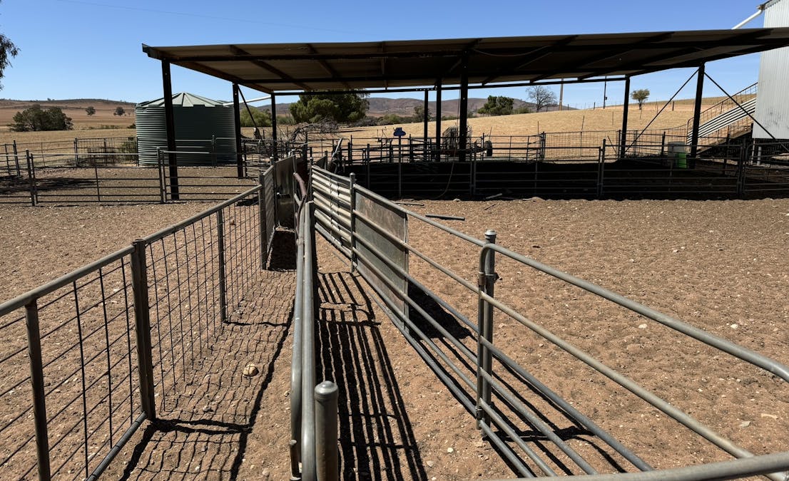 85 McCallum Road, Pekina, SA, 5431 - Image 17