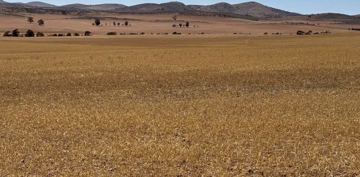 85 McCallum Road, Pekina, SA, 5431 - Image 19