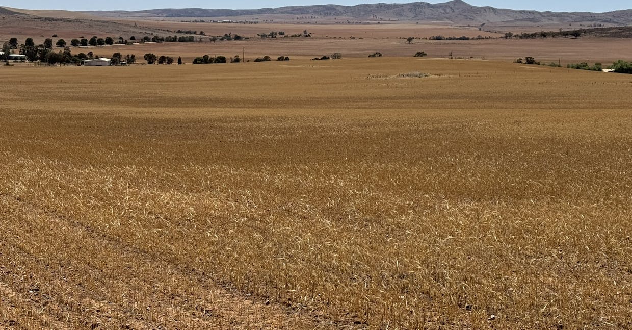 85 McCallum Road, Pekina, SA, 5431 - Image 20