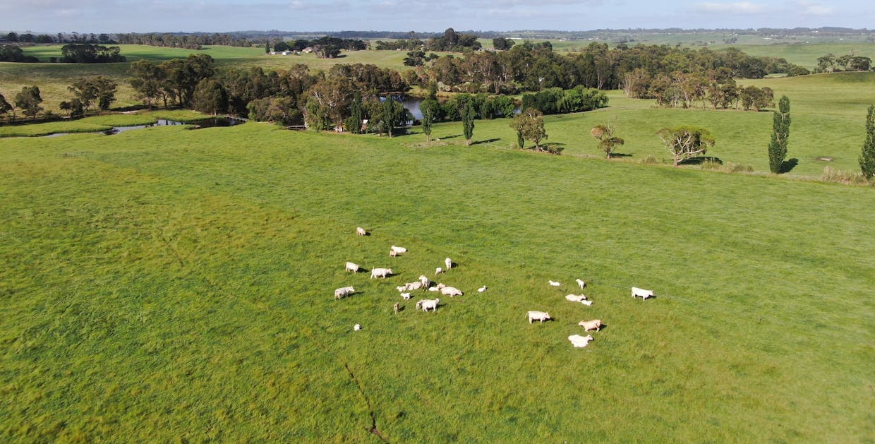 35  Weavers Road, Nyora, VIC, 3987 - Image 18
