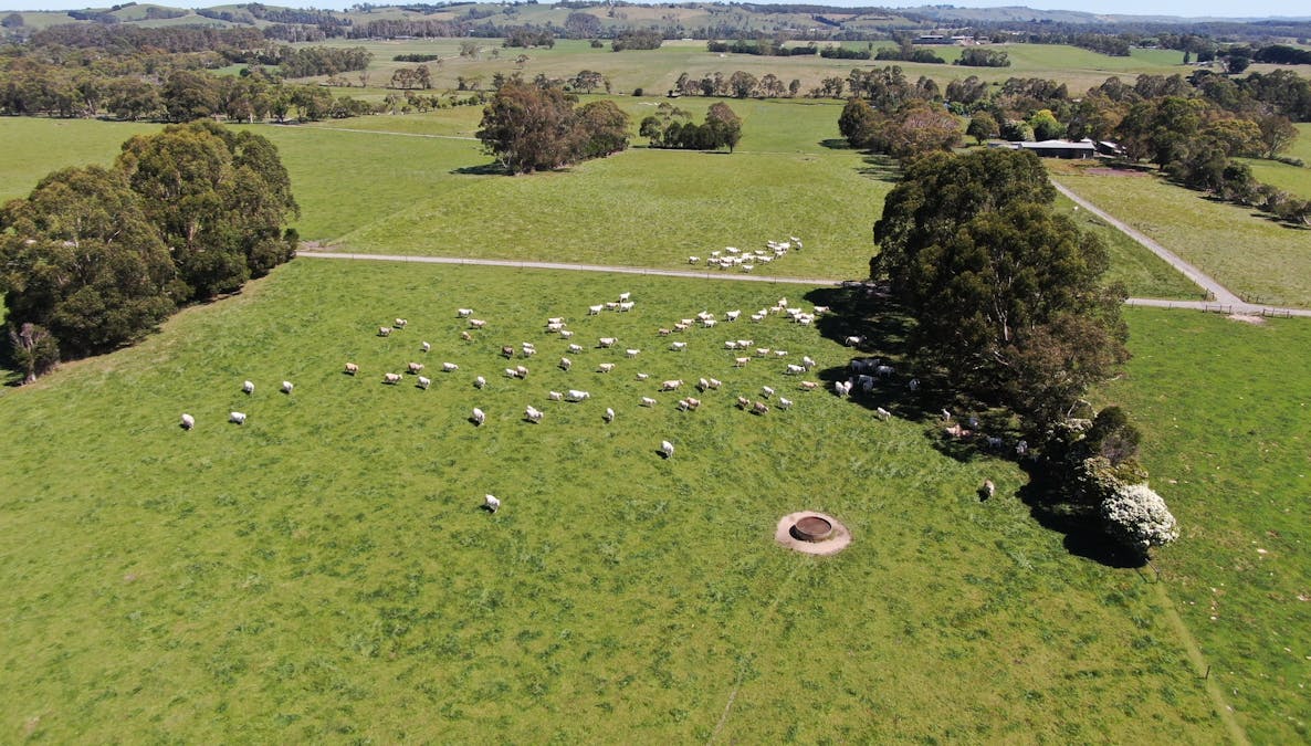 35  Weavers Road, Nyora, VIC, 3987 - Image 20