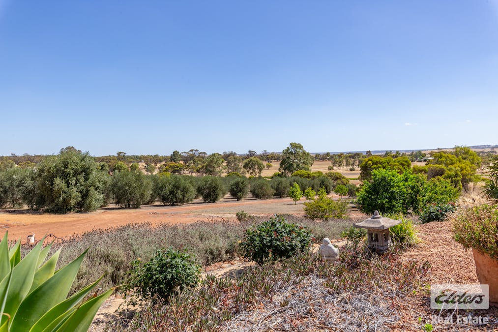 165 Seventh Road, Toodyay, WA, 6566 - Image 31