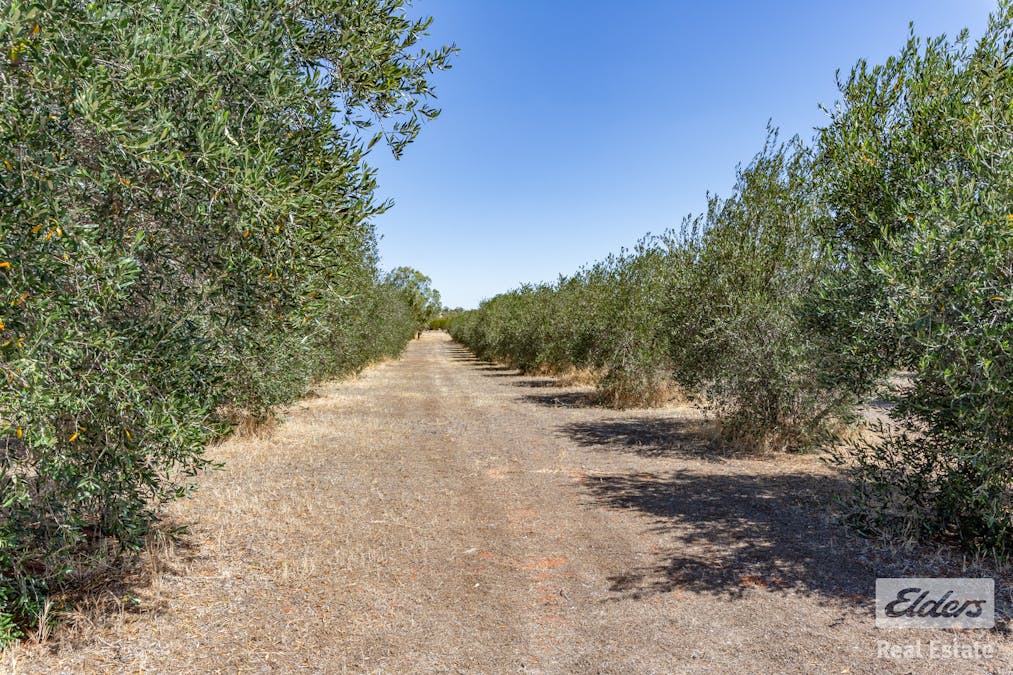 165 Seventh Road, Toodyay, WA, 6566 - Image 33