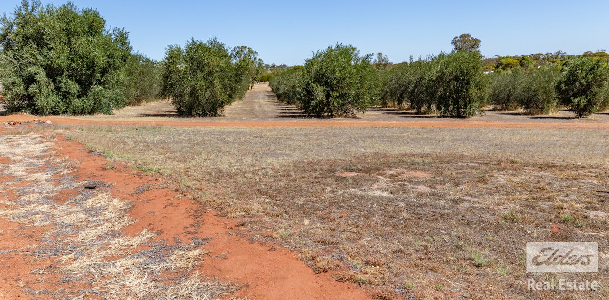 165 Seventh Road, Toodyay, WA, 6566 - Image 32