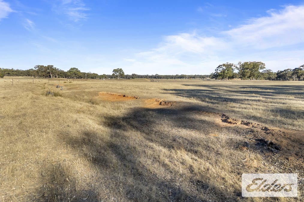 202 Homebush Road, Avoca, VIC, 3467 - Image 6