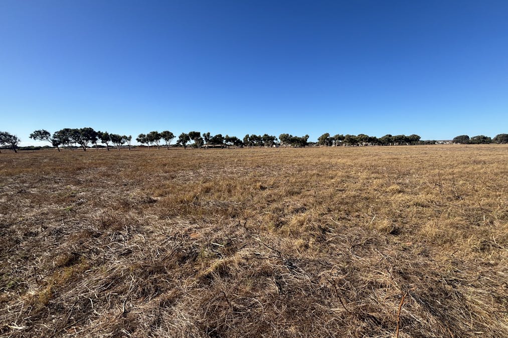 291 Edward Road, Geraldton, WA, 6530 - Image 16