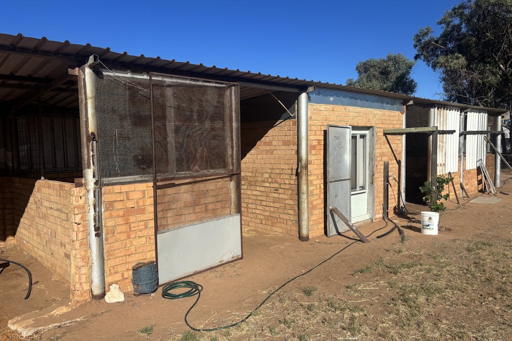 291 Edward Road, Geraldton, WA, 6530 - Image 8