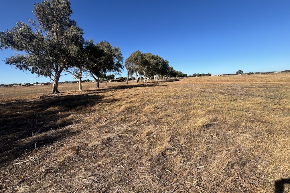 291 Edward Road, Geraldton, WA, 6530 - Image 6