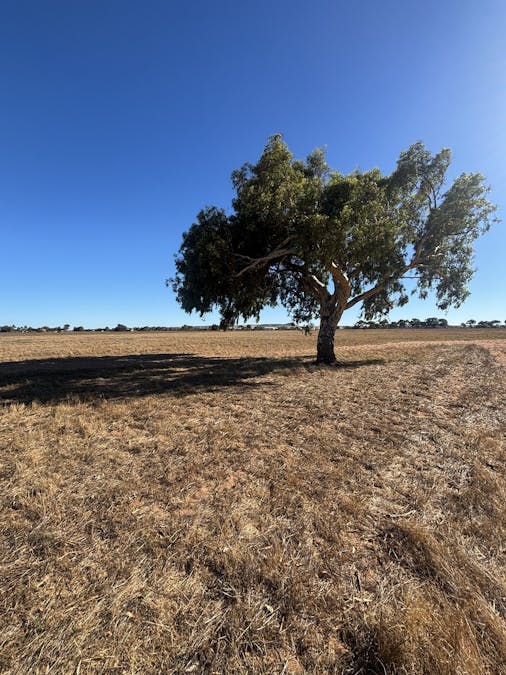 291 Edward Road, Geraldton, WA, 6530 - Image 5