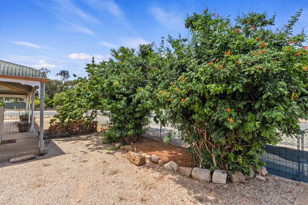 8 Dunure Terrace, Jamestown, SA, 5491 - Image 18