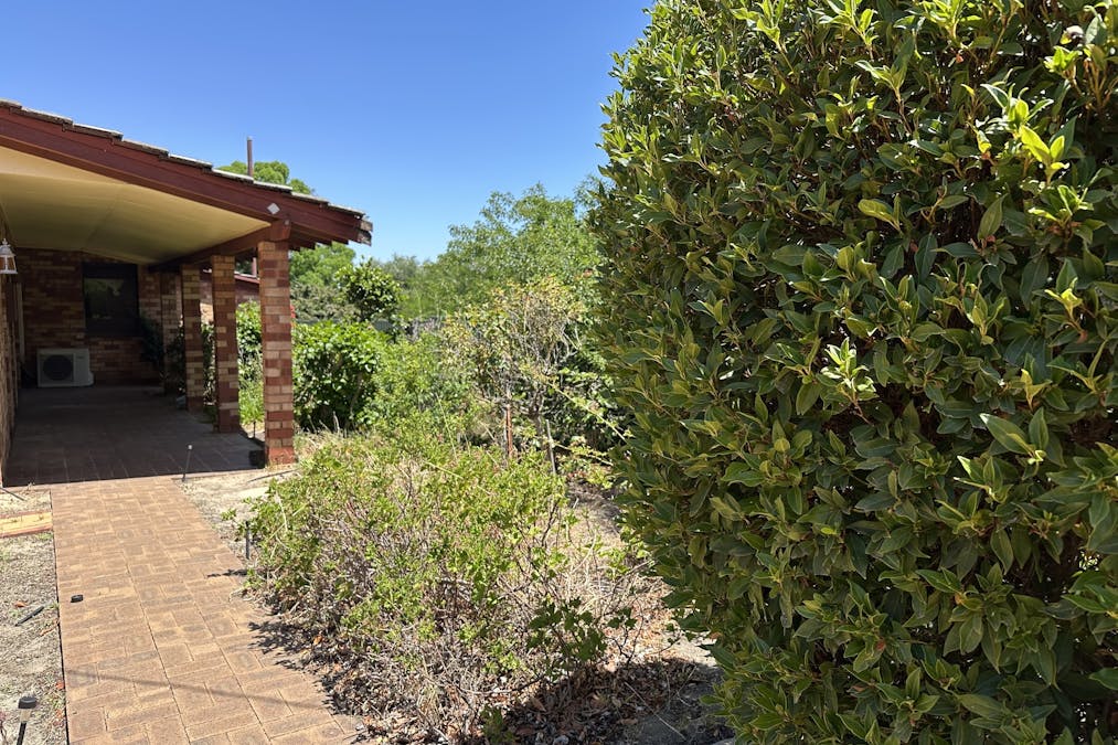 6 Ware Street, Wagin, WA, 6315 - Image 3