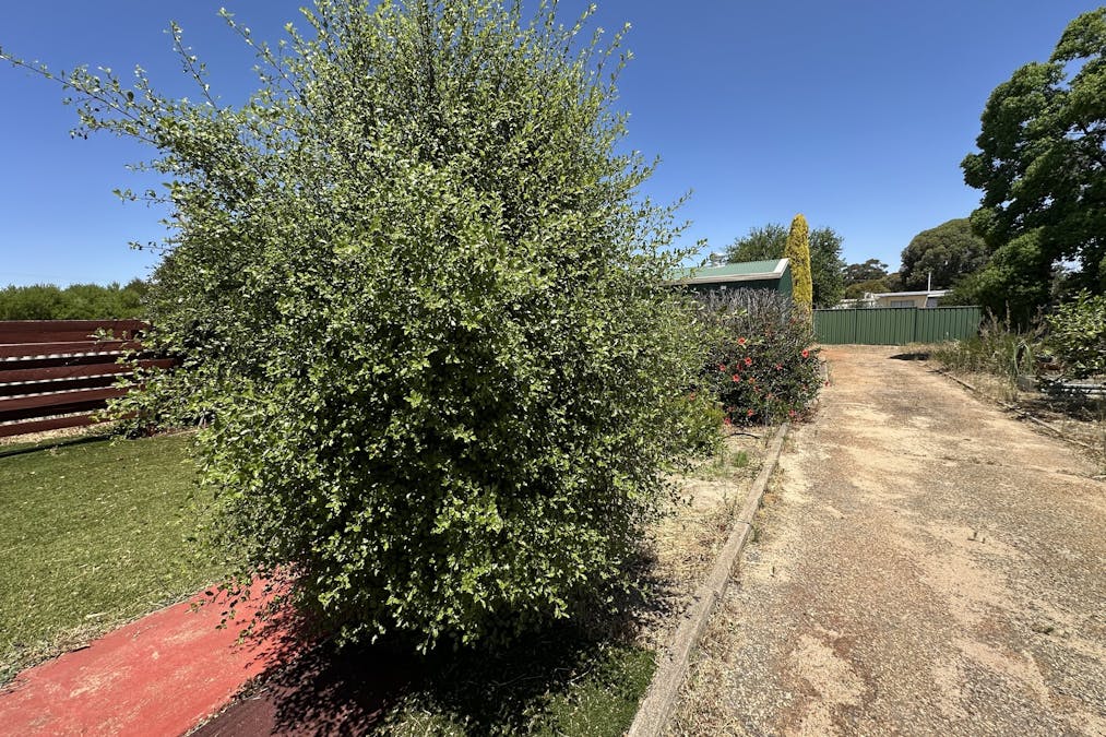 6 Ware Street, Wagin, WA, 6315 - Image 21