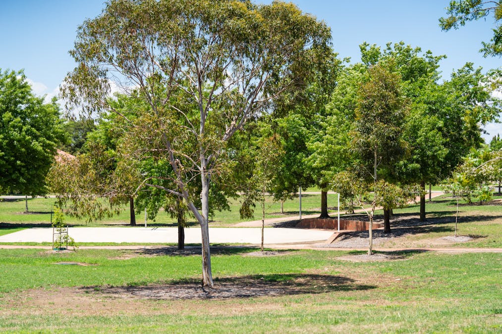 5 Oakmont Circuit, Wodonga, VIC, 3690 - Image 15