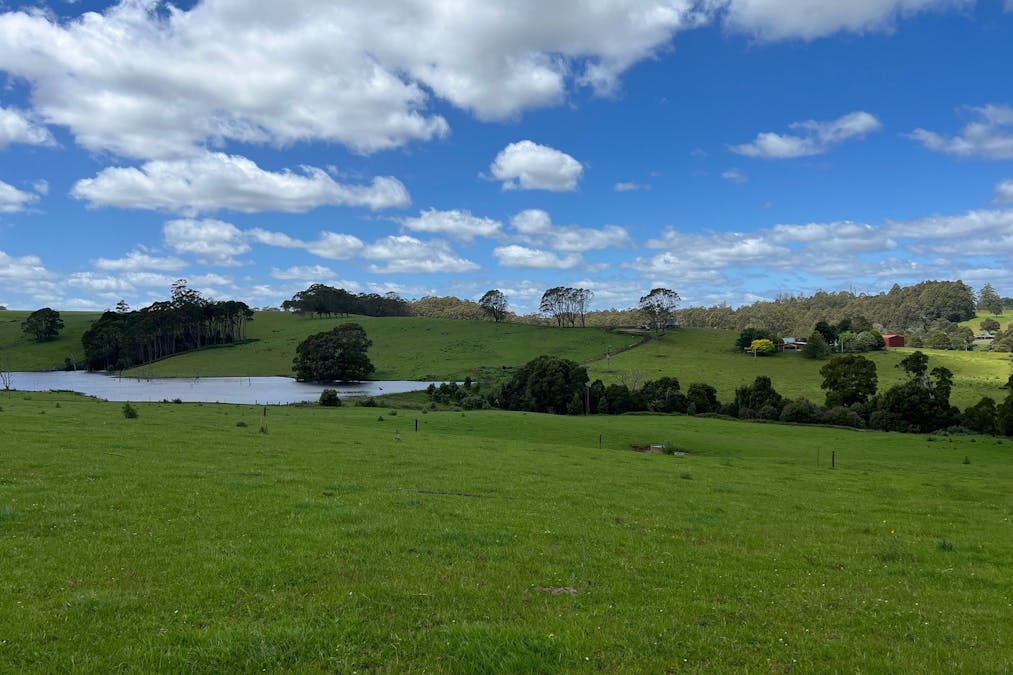 1119 Mawbanna Road, Mawbanna, TAS, 7321 - Image 2