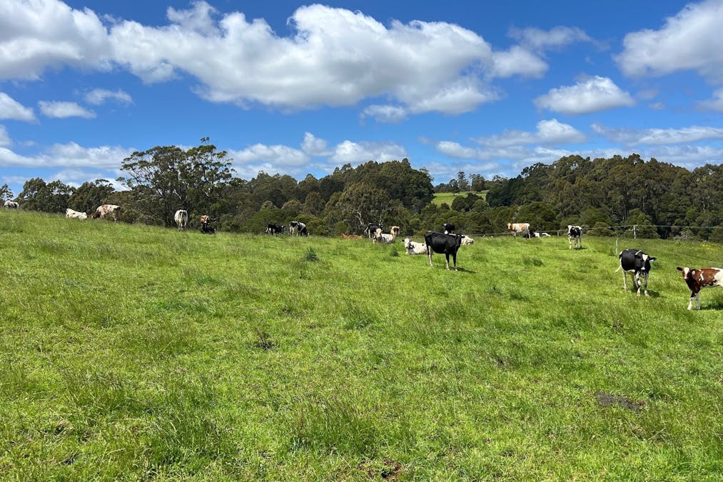 1119 Mawbanna Road, Mawbanna, TAS, 7321 - Image 6