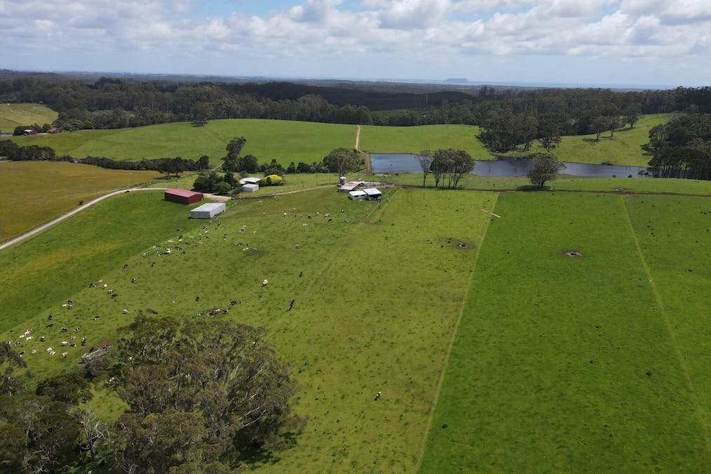 1119 Mawbanna Road, Mawbanna, TAS, 7321 - Image 11