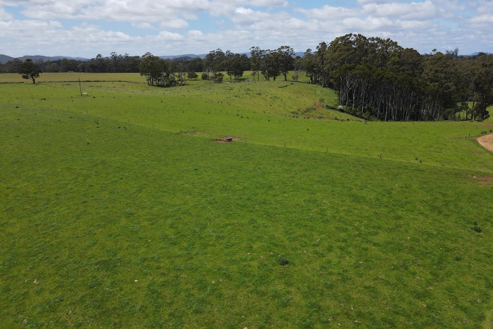 1119 Mawbanna Road, Mawbanna, TAS, 7321 - Image 15
