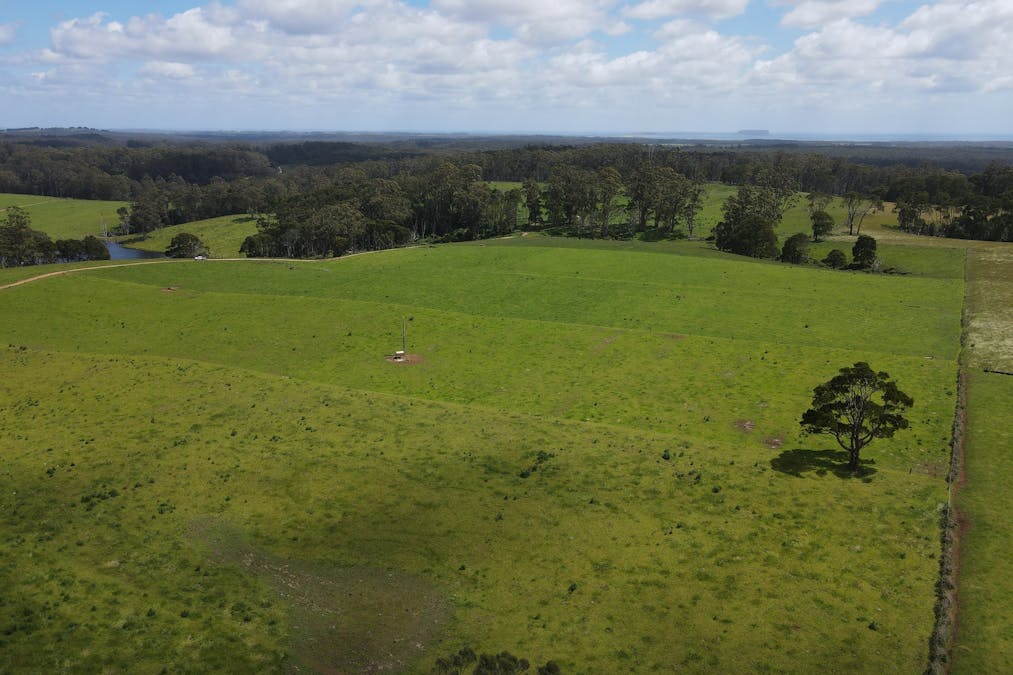1119 Mawbanna Road, Mawbanna, TAS, 7321 - Image 16