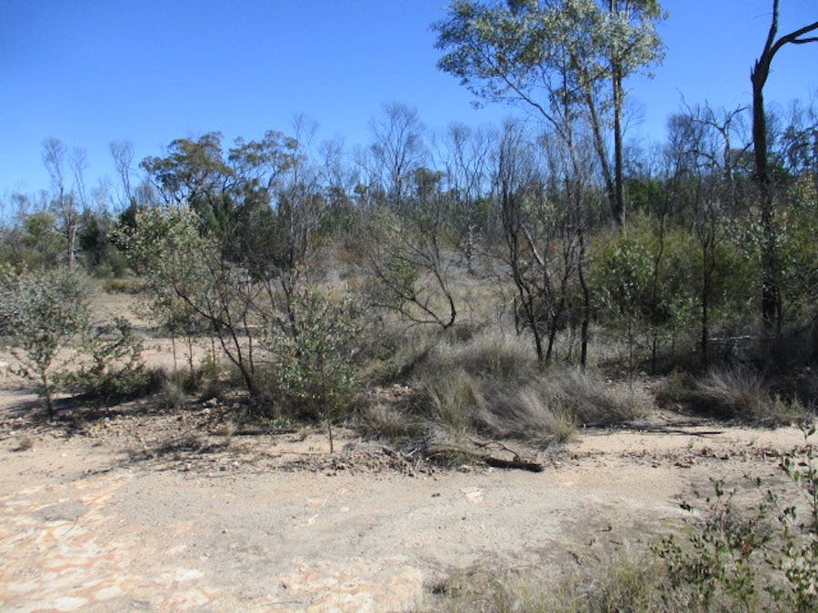 Lot 29 Dahlkes Road, Tara, QLD, 4421 - Image 2