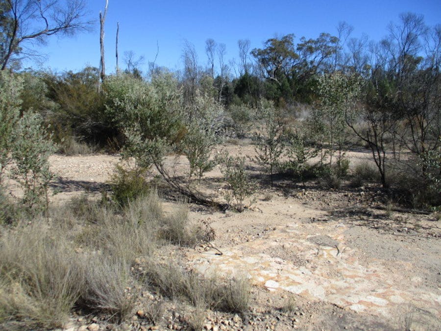 Lot 29 Dahlkes Road, Tara, QLD, 4421 - Image 3