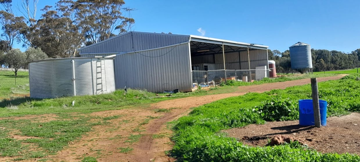 210  Yenellin Road, East Pingelly, WA, 6308 - Image 13