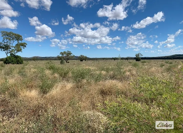 'Delby' 42 Pangee Road, Bobadah, NSW, 2877 - Image 1