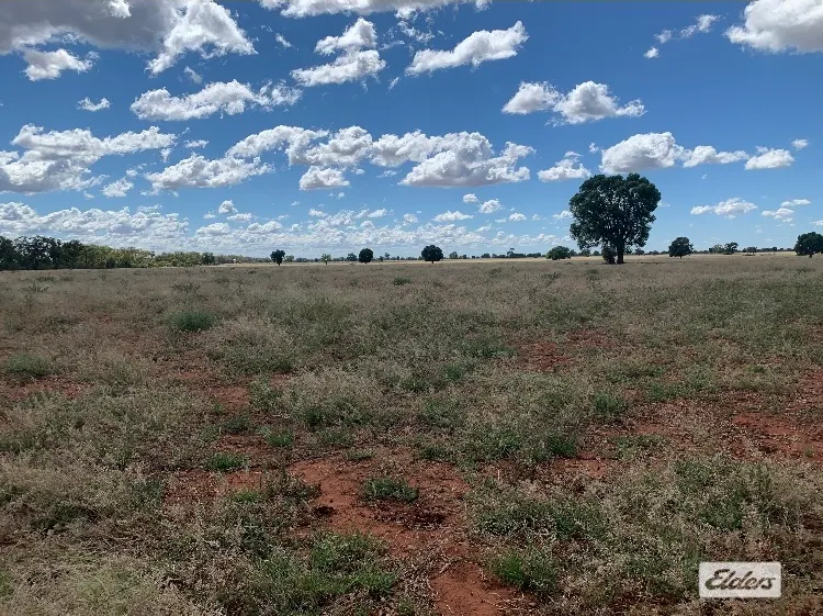 'Delby' 42 Pangee Road, Bobadah, NSW, 2877 - Image 2