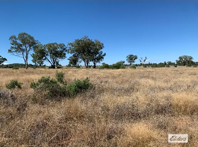 'Delby' 42 Pangee Road, Bobadah, NSW, 2877 - Image 3