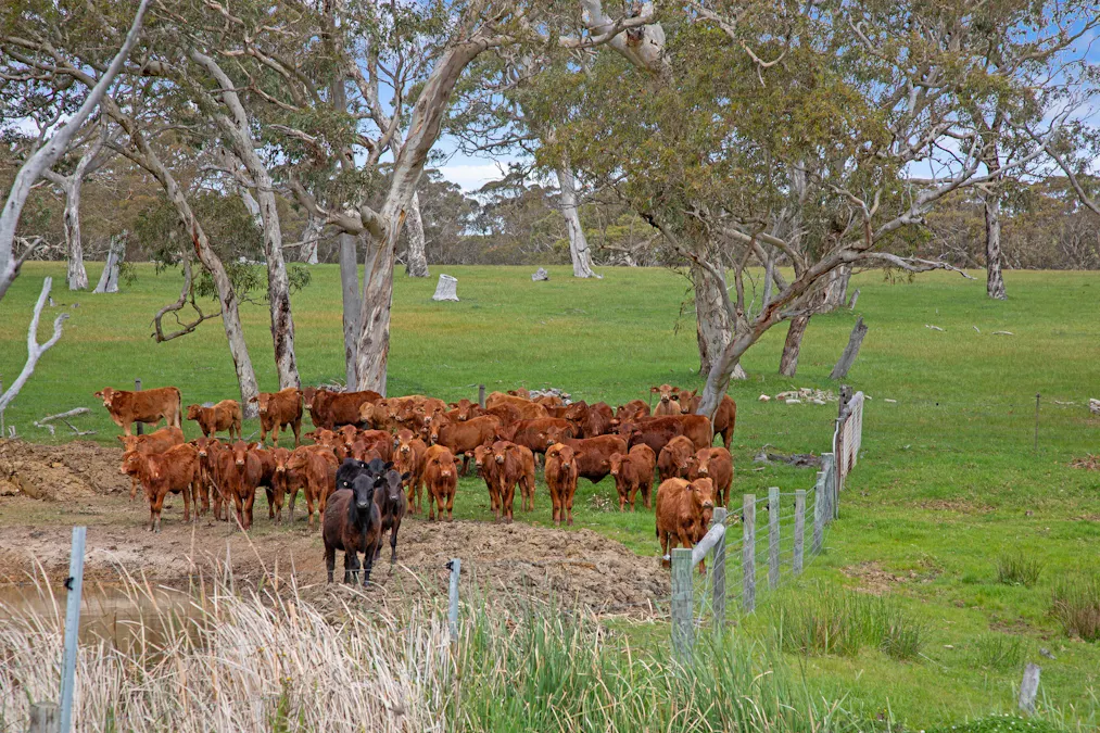 3432 Range Road, Waitpinga, SA, 5211 - Image 31