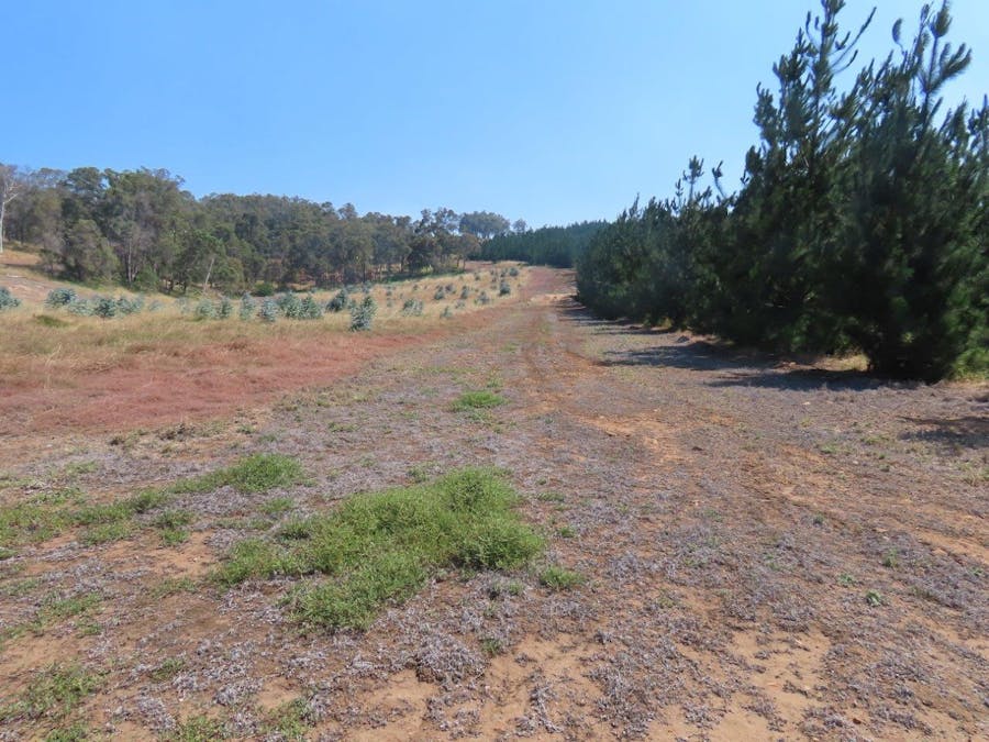 378 East Nannup Road, East Nannup, WA, 6275 - Image 3