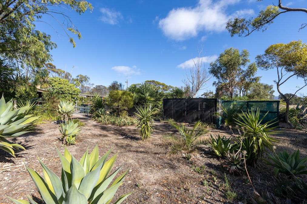 100-112 Katies Lane, Wangary, SA, 5607 - Image 7