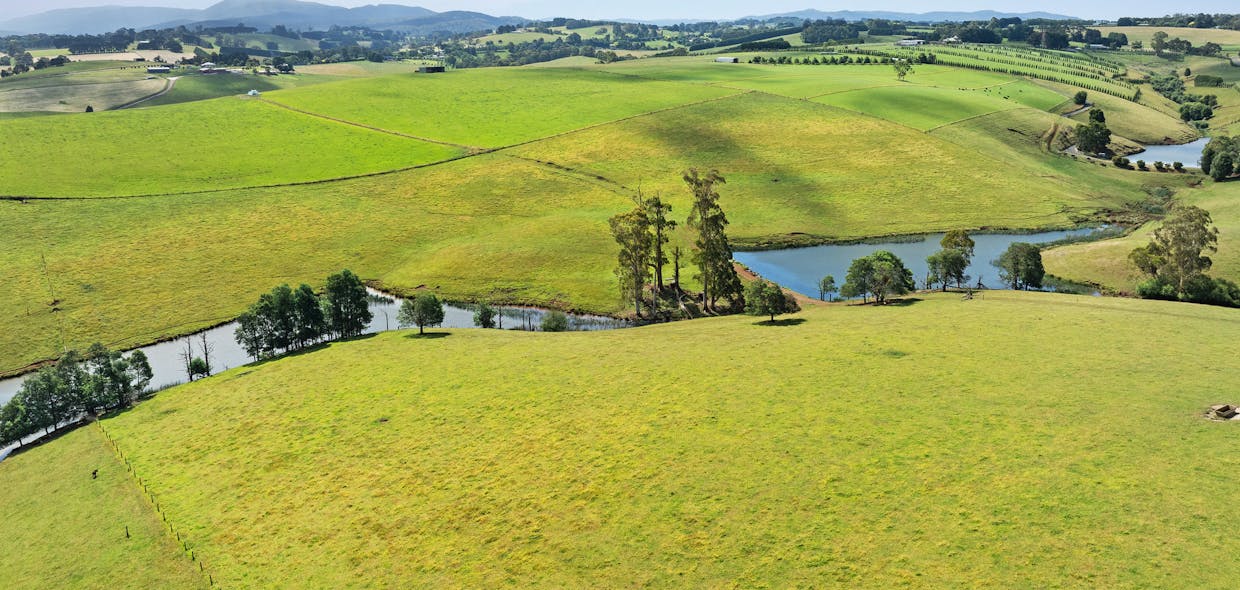 1061 Neerim East Road, Neerim East, VIC, 3831 - Image 3