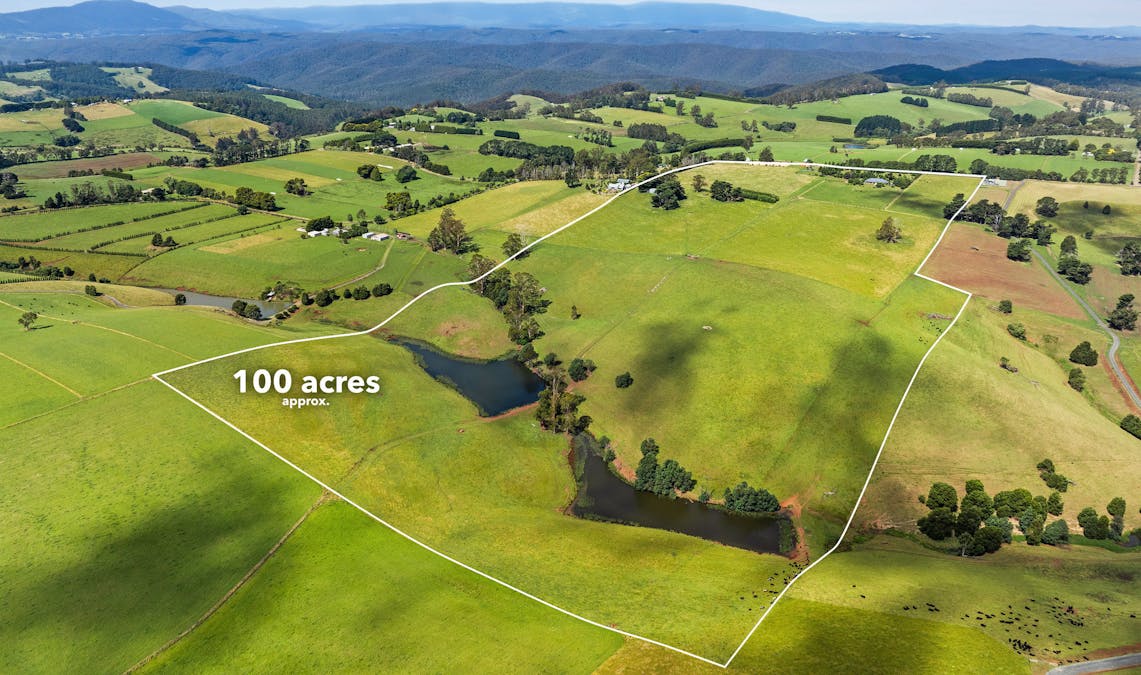 1061 Neerim East Road, Neerim East, VIC, 3831 - Image 33