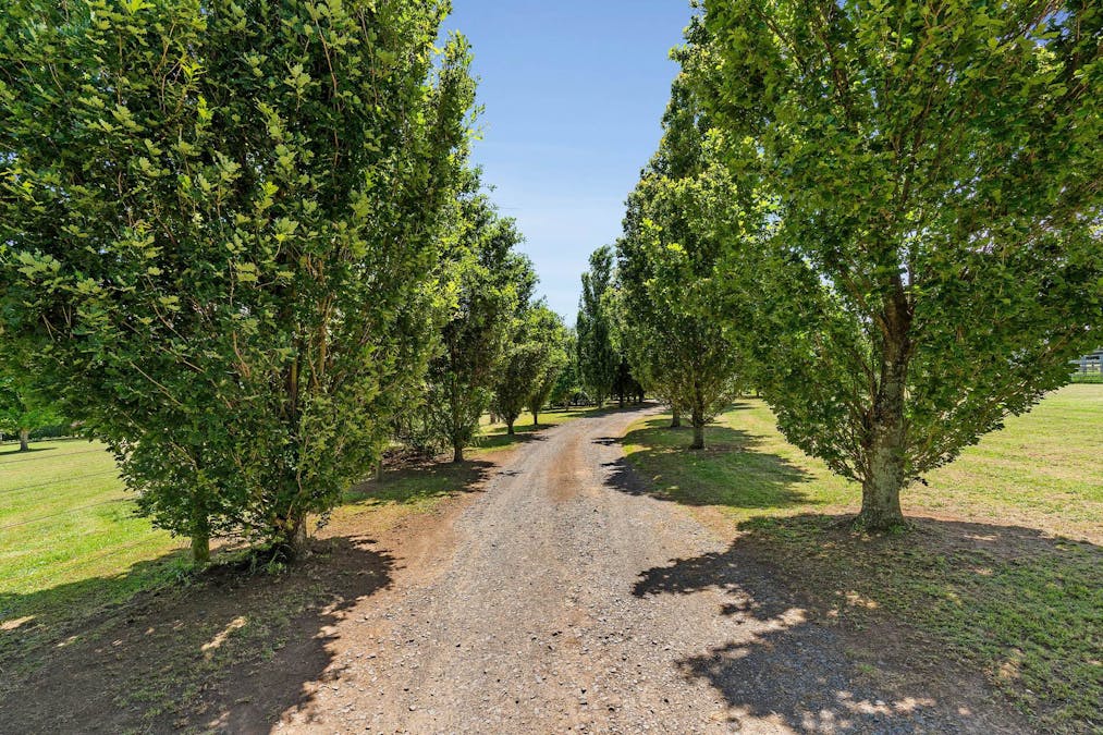 1061 Neerim East Road, Neerim East, VIC, 3831 - Image 4