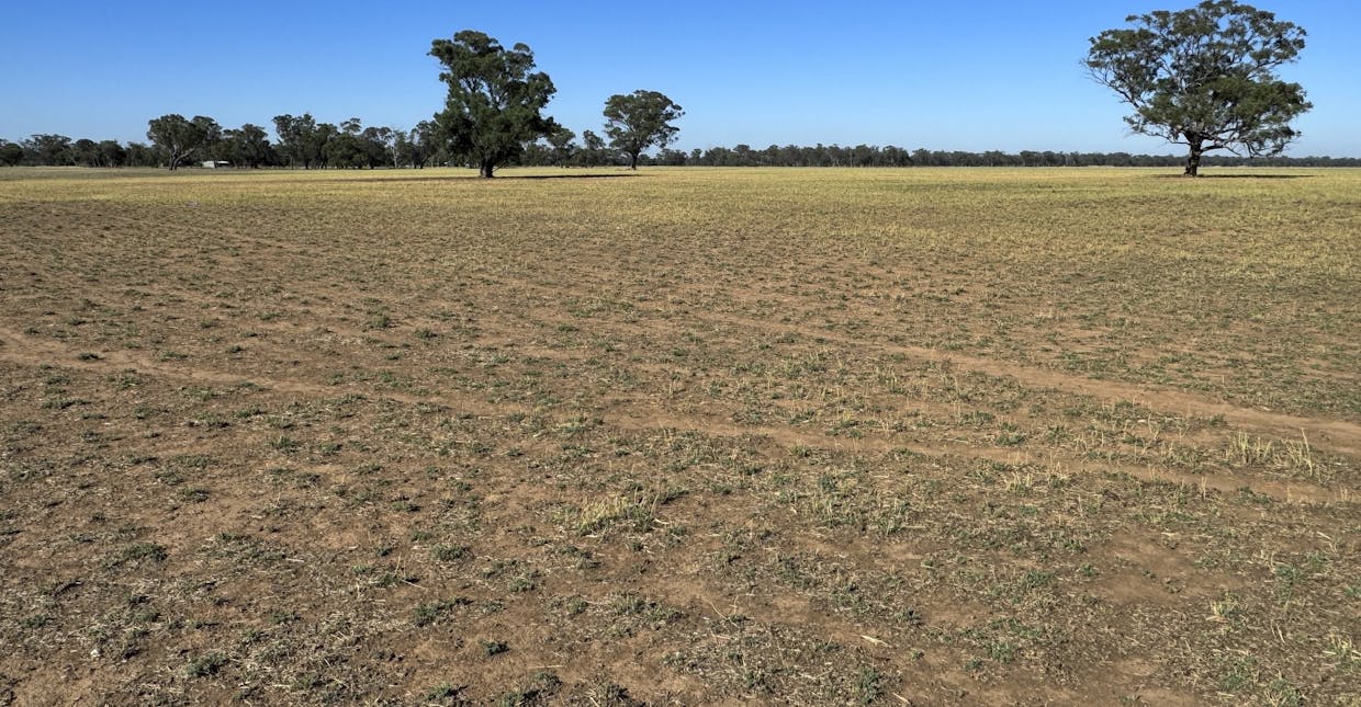 Browns Bridge Road, Yalca, VIC, 3637 - Image 9