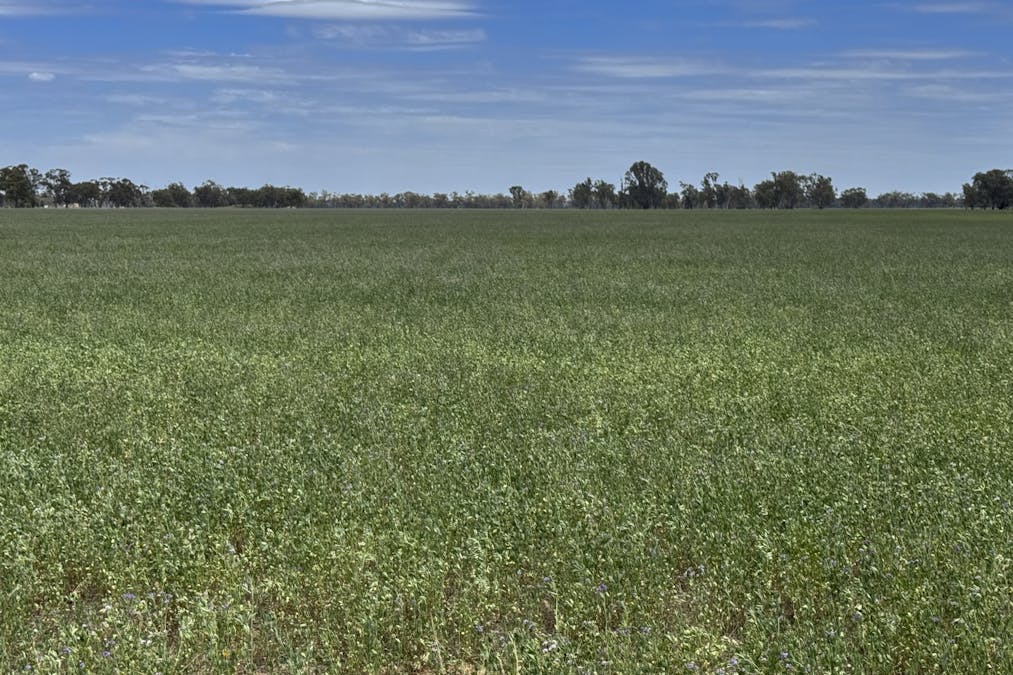 Browns Bridge Road, Yalca, VIC, 3637 - Image 3