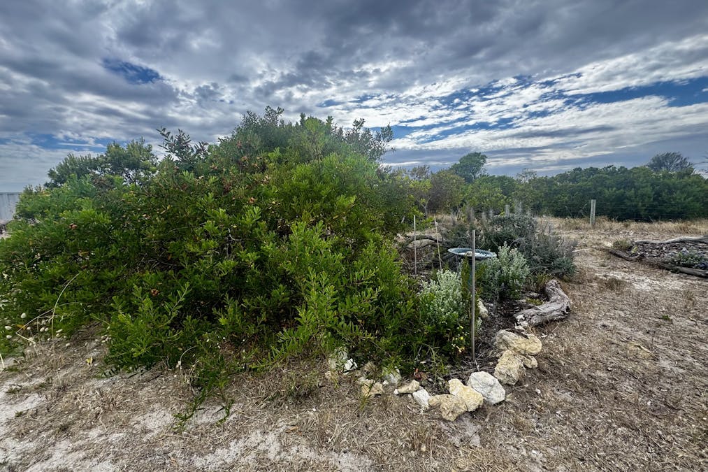 55/Ninth Avenue, Kingston Se, SA, 5275 - Image 5